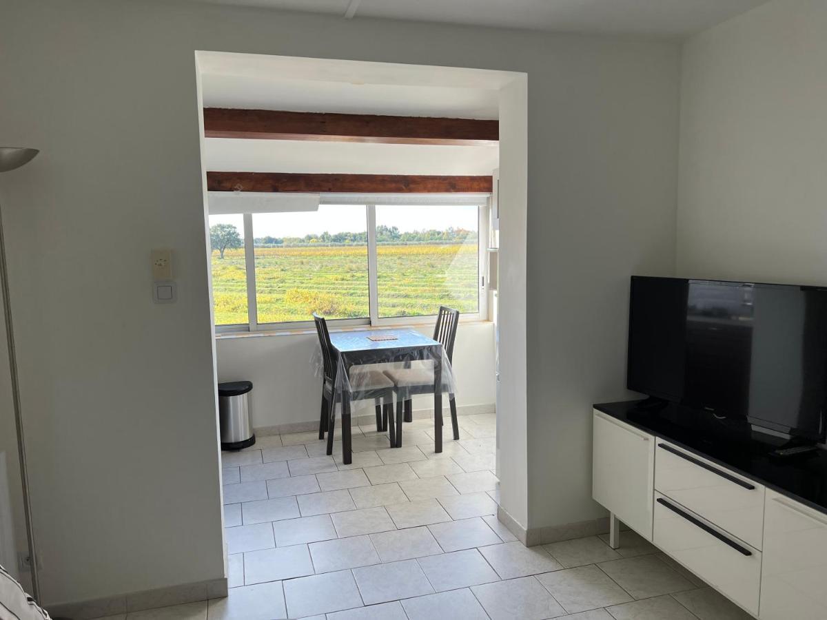 Joli Studio Tres Clair A Proximite Mer Pour 3 Personnes La Londe-les-Maures Exterior photo
