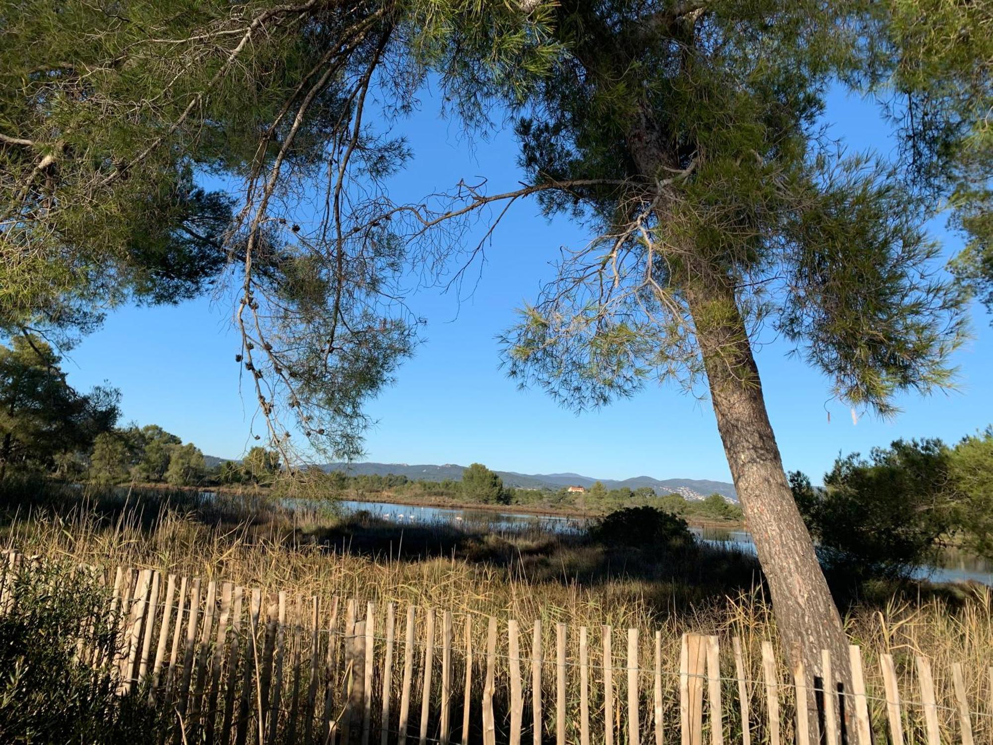 Joli Studio Tres Clair A Proximite Mer Pour 3 Personnes La Londe-les-Maures Exterior photo
